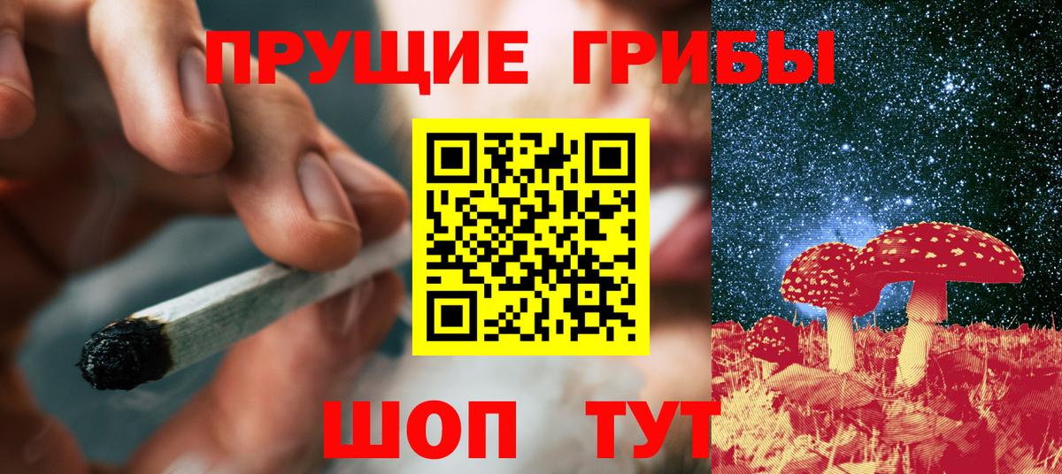 Псилоцибиновые грибы Psilocybine cubensis Елабуга