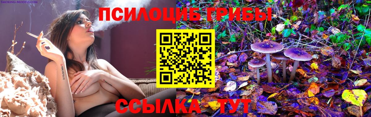МЕФ Елабуга